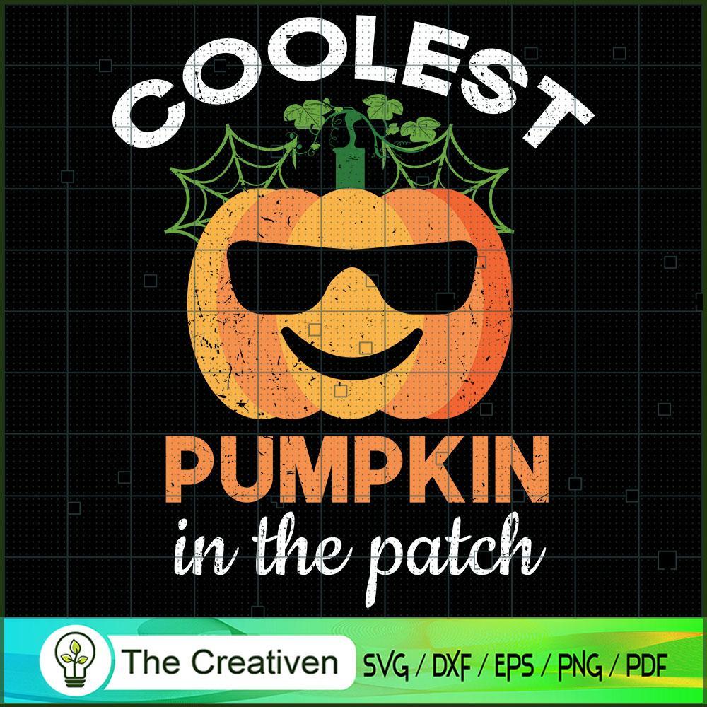 Coolest Pumpkin in the Patch SVG, Coolest Pumpkin SVG, Halloween SVG 1 Coolest Pumpkin in the Patch SVG, Coolest Pumpkin SVG, Halloween SVG