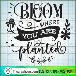 Bloom Where You Are Planted Free SVG Cut File for Cricut & Silhouette