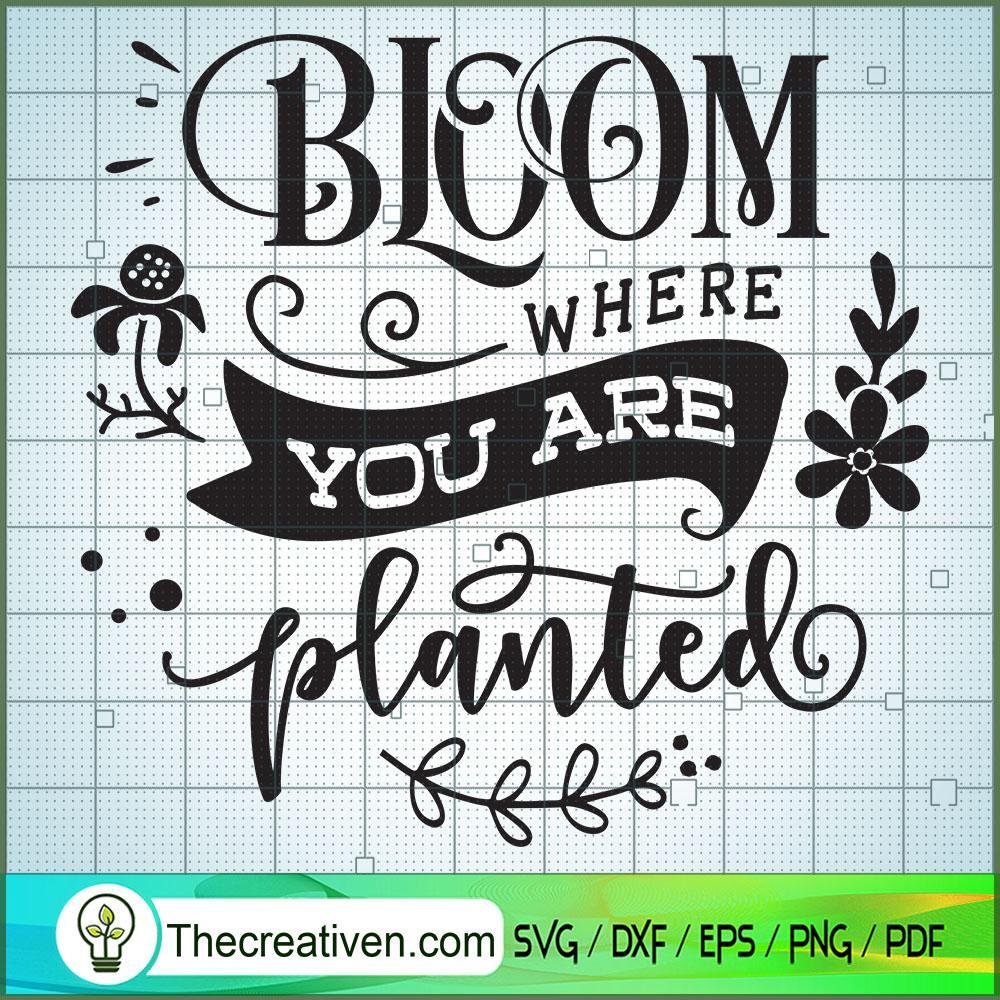 Bloom Where You Are Planted Free SVG Cut File for Cricut & Silhouette 1 Bloom Where You Are Planted Free SVG Cut File for Cricut & Silhouette
