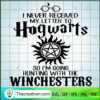 I Never Received My Letter To Hogwarts SVG Cut File fo Design 45422 3 56 copy 11