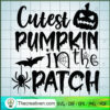 cutest pumpkin in the patch copy