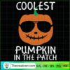 Coolest Pumpkin In The Patch SVG Cut File for Cricut & Design 41608 3 Tweetii 201015 UP 03 copy