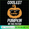 Coolest Pumpkin In The Patch SVG Cut File for Cricut & Design 41283 3 Tweetii 201021 NT 11 copy