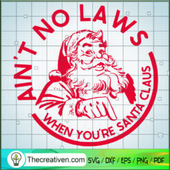 Ain't No Laws When You're Sa SVG Cut File for Cricut Design 63014