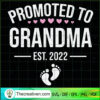 Promoted To Grandma EST 2022 SVG, Grandma SVG, Quotes SVG