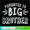 Promote to Big Brother copy