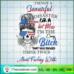 I'm Not A Hot Mess Im A Spic SVG Cut File for Cricut