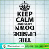 Keep calm And Escape The Ups SVG Cut File for Cricut 3 stranger things The upside down copy