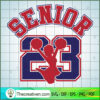Air Senior 23 Cheerleader copy