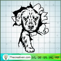 Poodle Dog SVG, Dog SVG